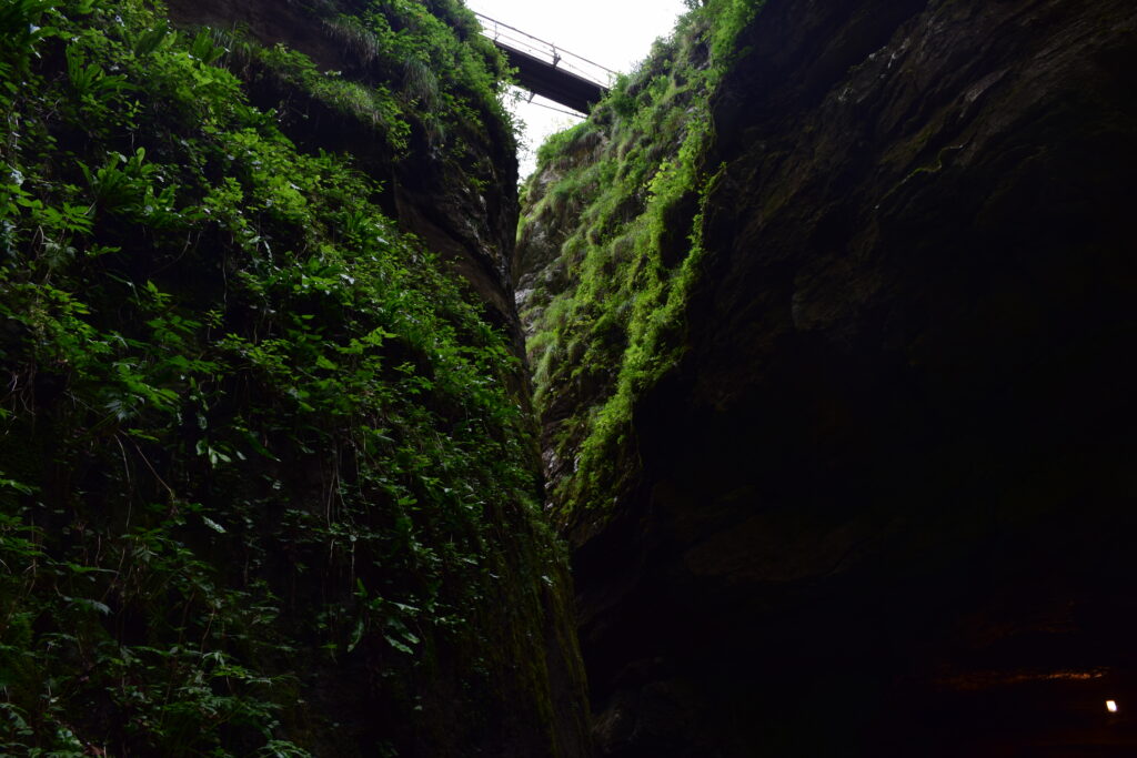 Foto dalla basso verso l'alto del percorso di visita. In alto vediamo il ponte che attraversa le due sponde scavate dal percorso del torrente. Sulle rocce tanta vegetazione