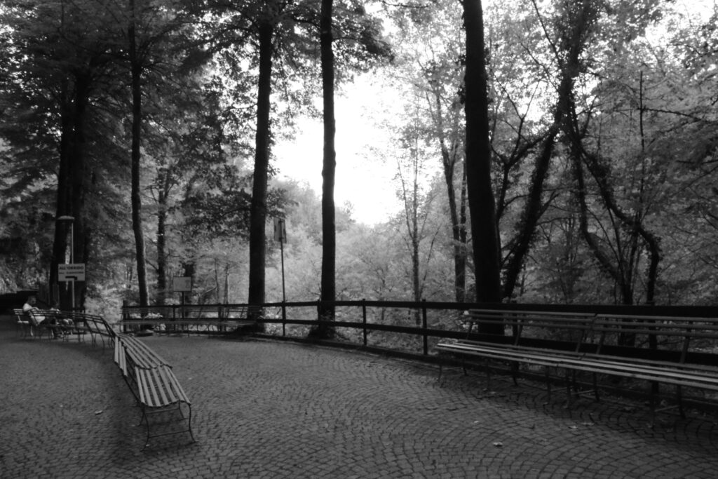 foto in bianco e nero mostra Un viale alberato con panchine. il percorso porta al torrente
