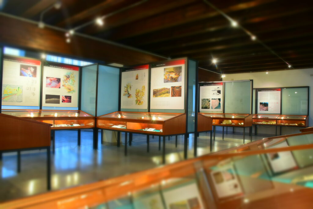 Foto dell'interno del museo in cui compaiono diversi pannelli esplicativi, uniti a teche protettive