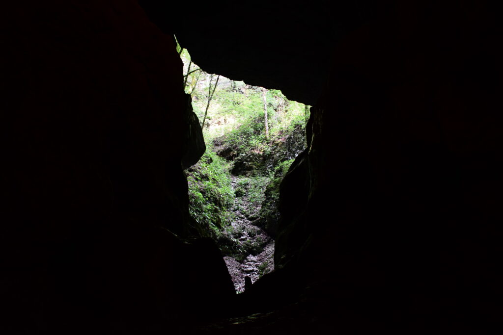 immagine suggestiva, scattata dall'interno di una grotta buia, che ritrae una fenditura naturale attraverso la quale è possibile intravedere il fogliame di Pradis. foto di Aurélié Léone