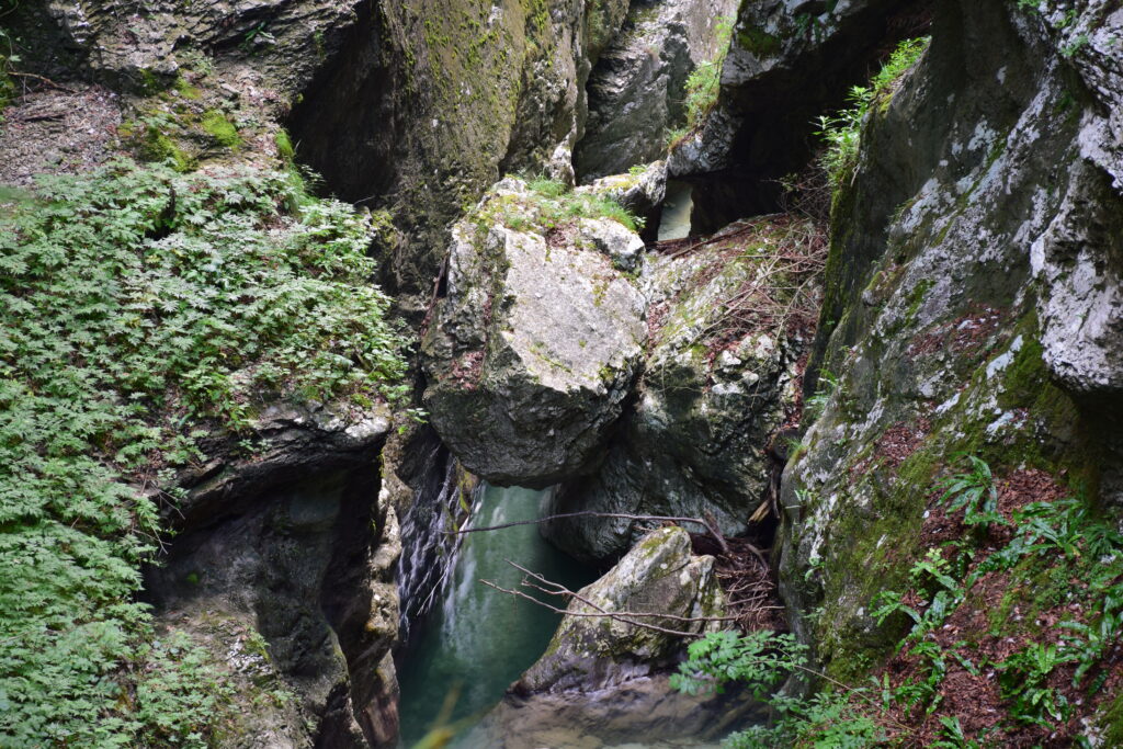 Foto dall'alto delle pareti rocciosa, piena di vegetazione sui toni del verde, scavate dal passaggio del torrente scuro che si intravede tra le rocce