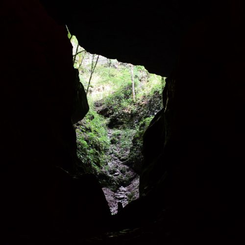 immagine suggestiva, scattata dall'interno di una grotta buia, che ritrae una fenditura naturale attraverso la quale è possibile intravedere il fogliame di Pradis. foto di Aurélié Léone